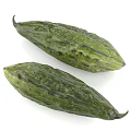 Fresh Green Bitter Melon With Textured Surface And Elongated Shape