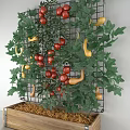 Vegetables Growing on Grid with Red Tomatoes Yellow Squash and Green Leaves in Wooden Box