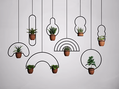 Black Metal Hanging Planters with Green Plants Various Shapes on White Background 3d model