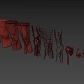 Man Anatomical Structure Display With Muscles Blood Vessels Bones And Joints