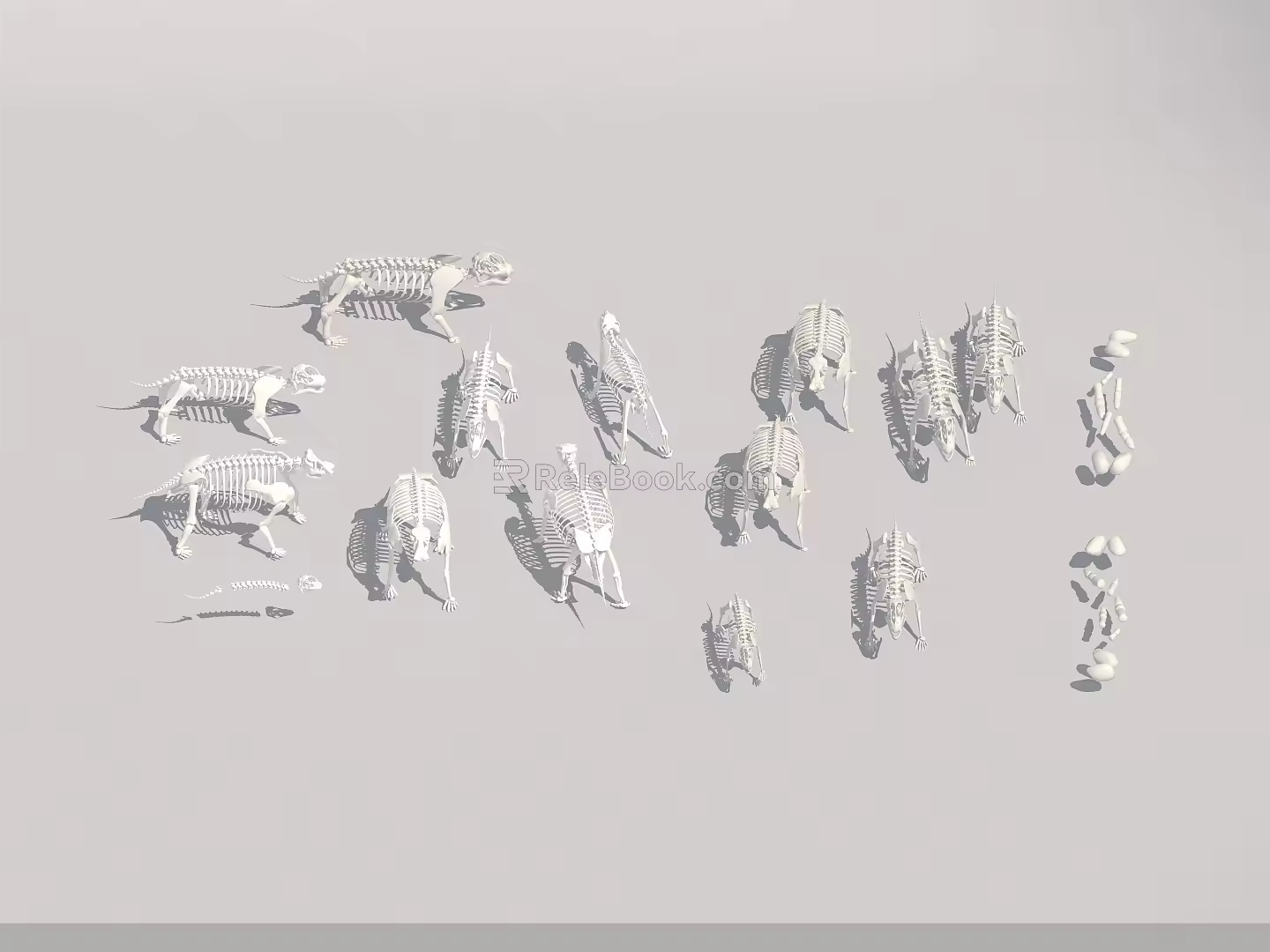 Modern dinosaur fossils 3d model