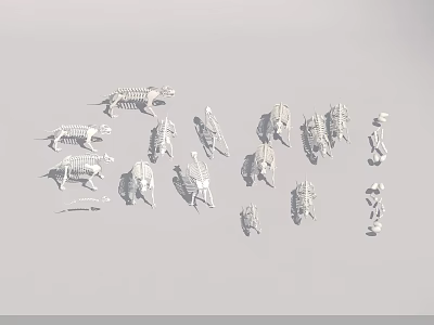 Public Museum Exhibition Hall Displaying Various Animal Skeleton Models For Education 3d model