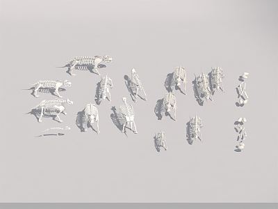 Modern dinosaur fossils 3d model