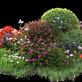 Mixed Garden Shrubs Featuring Red Purple White Flowers And Lush Green Foliage