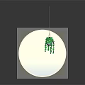 Green Hanging Plant Suspended In Circular Transparent Container With Gradient Gray Black Background And Reflection
