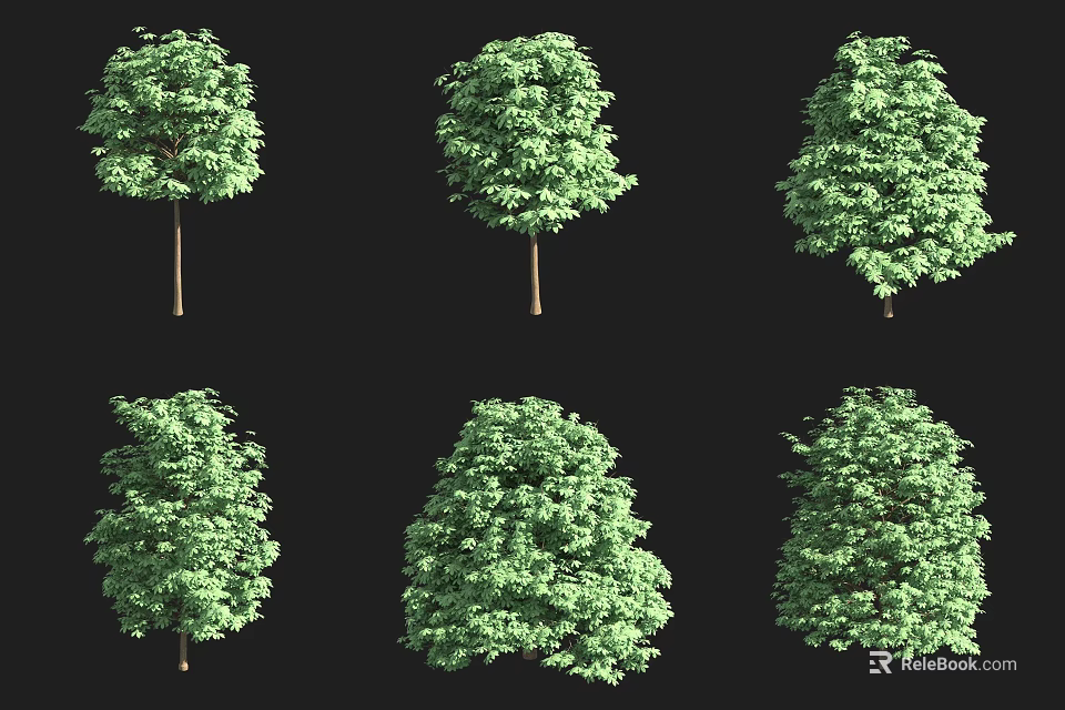 Various Arbor Trees with Green Foliage in Different Forms Displayed on Black Background 3d model 