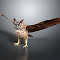 Realistic Owl With Spread Wings Standing On Dark Background And Detailed Feathers