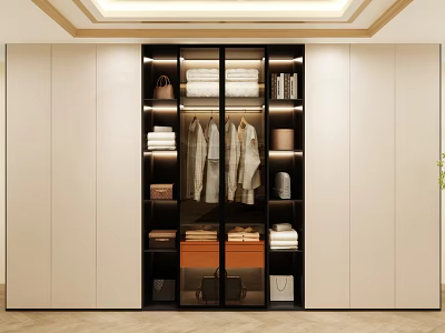 Modern Wardrobe Interior Design With Glass Doors Hanging Clothes Folded Clothes Bags And Shoes 3d model