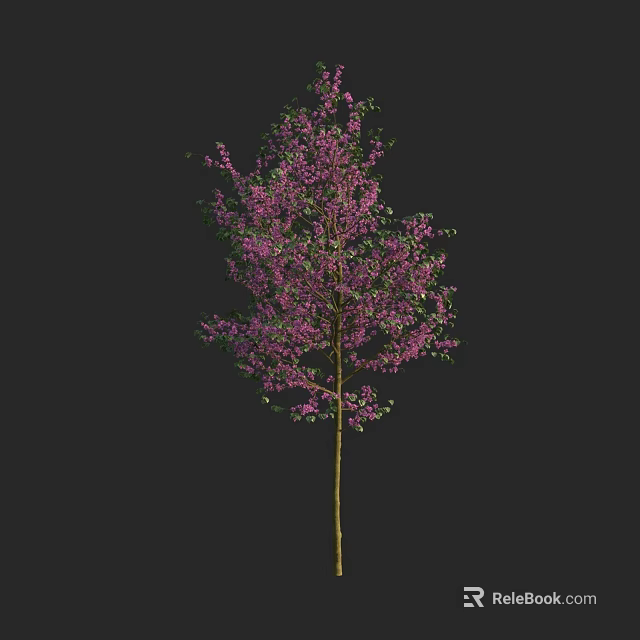 Tall Arbor Featuring Purple Blossoms Green Leaves And Brown Trunk Against Black Background 3d model 