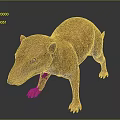Small Brown Mammal With Long Snout Sharp Claws In Standing 3D Pose On Dark Background