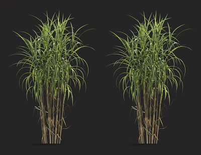 modern grass 3d model