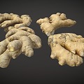 Ginger 3d model