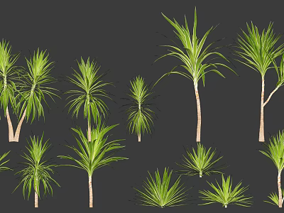 Various Green Garden Plants With Different Heights And Slender Leaves For Landscaping And Decoration 3d model
