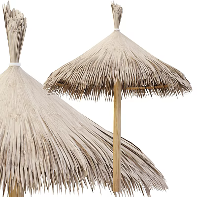 Modern Sunshade Bamboo Umbrella 3d model