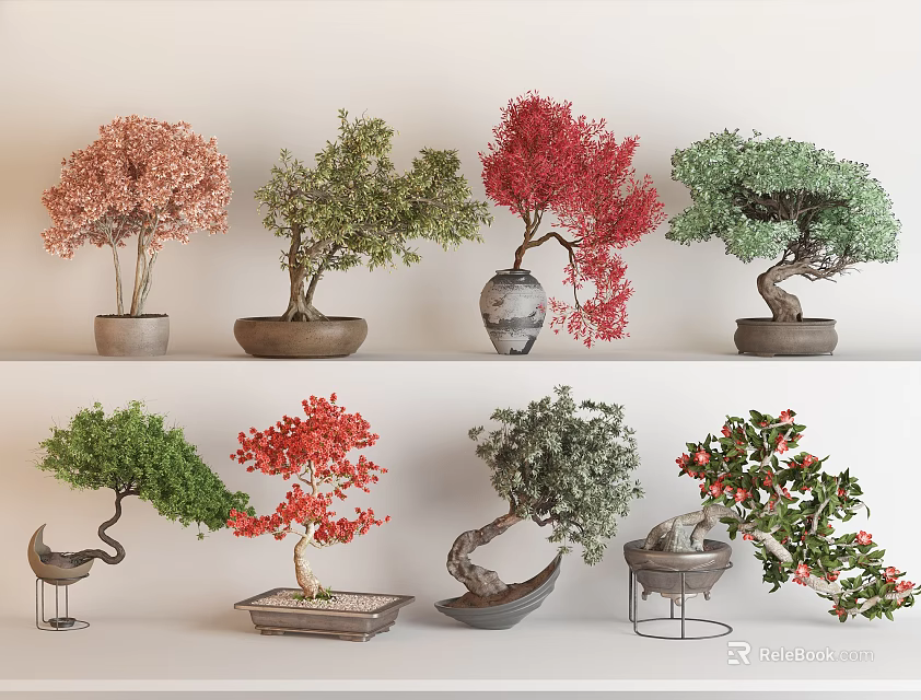 Various Colored Bonsai Plants Display with Decorative Ceramic and Metal Pots 3d model 