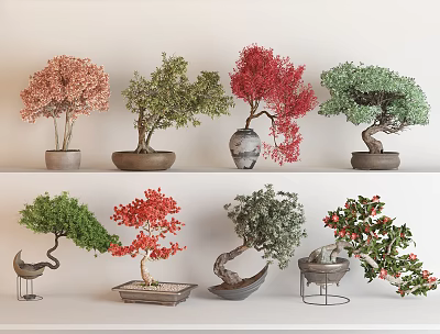 Various Colored Bonsai Plants Display with Decorative Ceramic and Metal Pots 3d model