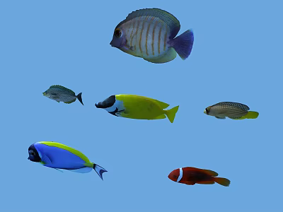 Colorful Tropical Fish Swimming In Blue Underwater Background With Various Species 3d model