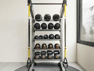 Organized Fitness Equipment Storage Rack With Dumbbells And Kettlebells In Indoor Gym 3d model