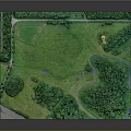 Cartoon Style Natural Park Scene With Green Grass Trees And Winding Paths