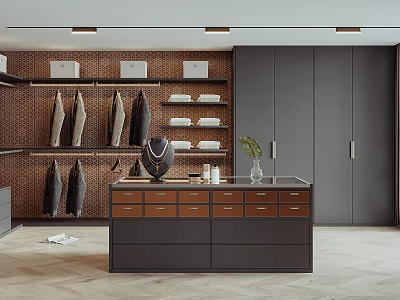 Modern Walk-in Closet Interior with Dark Cabinets Hanging Clothes and Countertop Decor 3d model