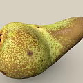 pear pear fragrant pear scan pear fruit 3d model