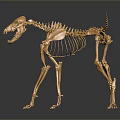 Golden Animal Skeleton in Standing Pose Against Dark Background With Reflective Surface
