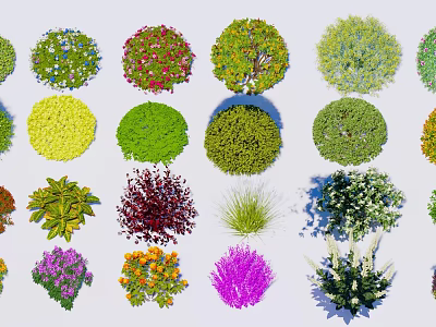 Diverse Collection of Shrubs With Vibrant Colors and Round Shapes for Garden Landscaping 3d model