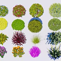 Diverse Collection of Shrubs With Vibrant Colors and Round Shapes for Garden Landscaping