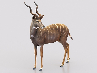 antelope twist horned antelope animal 3d model