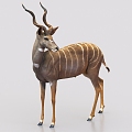 antelope twist horned antelope animal 3d model