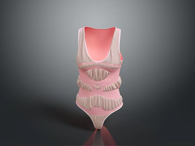 Pink Slim Fit Bodysuit With Layered Ruffled Details And Smooth Silhouette 3d model