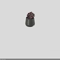 Bonsai Potted Succulent Plant In Gray Woven Texture Pot With Purple Red Leaves