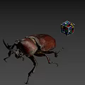 Large Brown Beetle And Multicolored Rubik's Cube On Gray Background