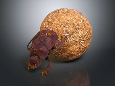 Purple Flying Beetle Crawling Beside Brown Textured Ball on Reflective Surface 3d model