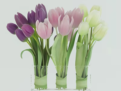 Vibrant Tulips in Clear Glass Vases with Purple Pink and Green Hues 3d model