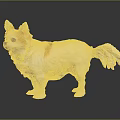 White Chihuahua with Brown Spots in Standing Pose and Fluffy Fur on Dark Background