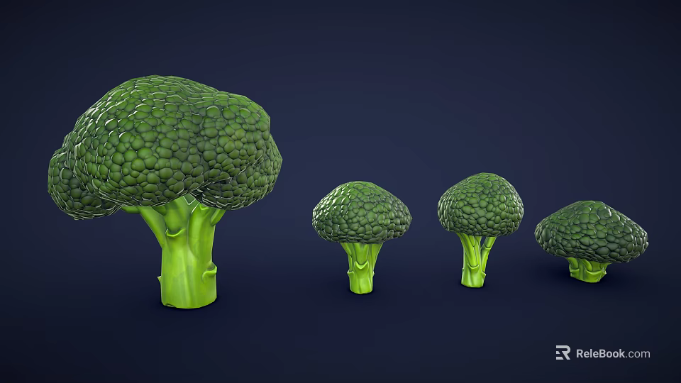 Four Fresh Broccoli Arranged From Large To Small On Dark Blue Background 3d model 