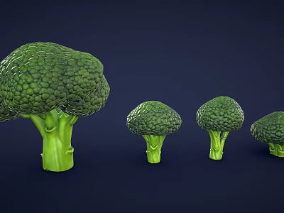 Four Fresh Broccoli Arranged From Large To Small On Dark Blue Background 3d model