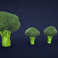 Four Fresh Broccoli Arranged From Large To Small On Dark Blue Background