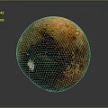 Spherical Plant Structure With Orange Brown Surface And Dark Green Patches On Dark Background