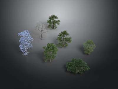 Various Forms And Colors Of Trees Including Blue Green And Leafless On Gray Background 3d model