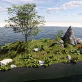 Natural Garden Landscape Design With Island Tree Grass Rocks And Water