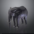 Detailed Realistic 3D Elephant Model Standing Isolated On Dark Background