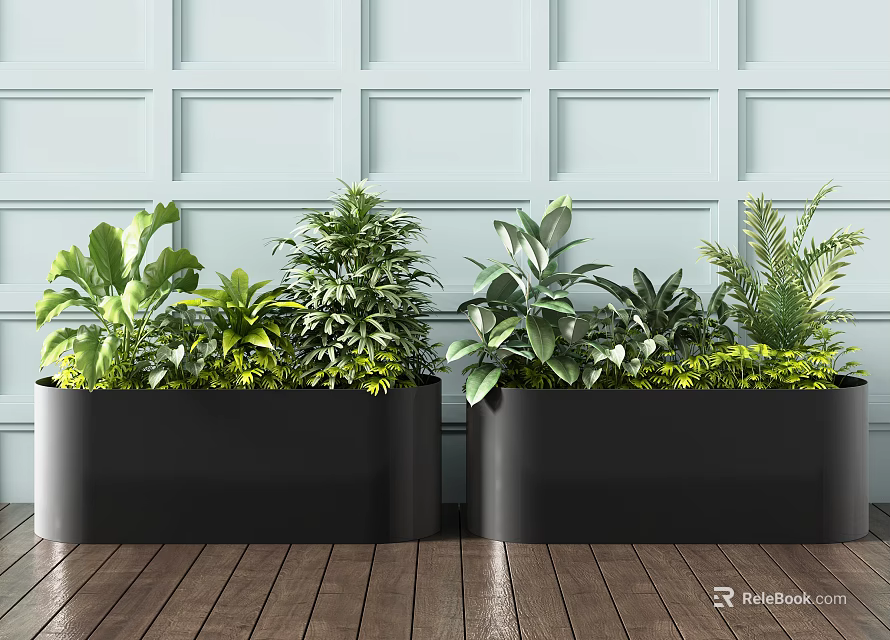 Lush Green Plants in Black Planters Against Light Blue Wall and Wooden Floor 3d model 