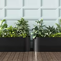 Lush Green Plants in Black Planters Against Light Blue Wall and Wooden Floor