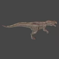 Realistic T Rex Dinosaur With Open Mouth Sharp Teeth And Striped Skin
