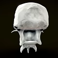 Silver Skeleton Creature With Sharp Fangs Spiked Protrusions And Menacing Facial Features 3d model
