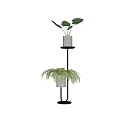 Indoor Potted Plants On Two Tier Black Stand With Gray Pots And Fern