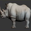 White Rhinoceros 3D Model Standing On Dark Background With Realistic Reflection 3d model