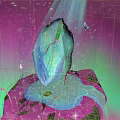 Glowing Blue Ice Block On Pink Rock With Stars Butterfly And Water Droplets